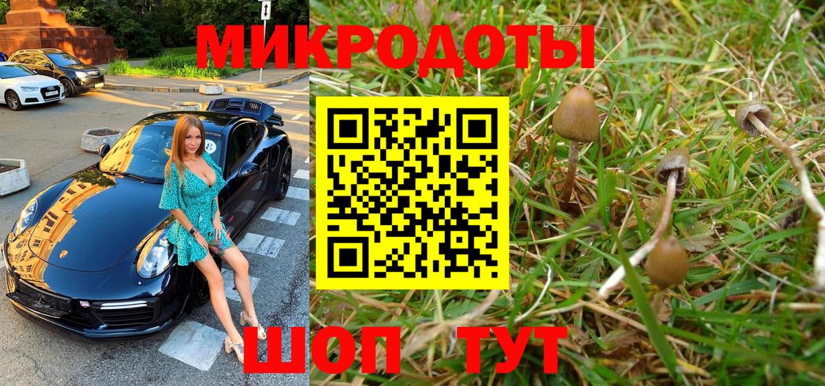 Улан-Удэ  Псилоцибиновые грибы Psilocybine cubensis  Вход с VPN 